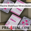 Racine Maléfique Miraculeuse 33